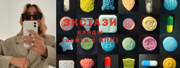 индика Абинск
