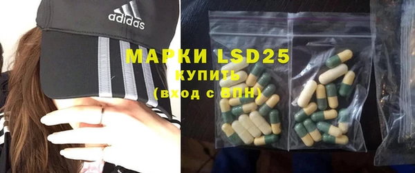 индика Абинск