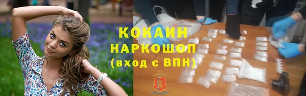 индика Абинск