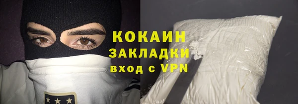 индика Абинск
