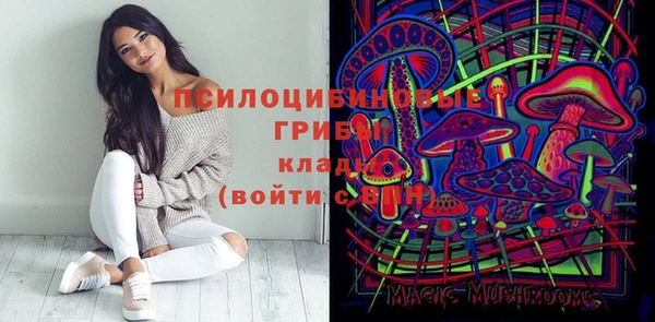 трава Абаза
