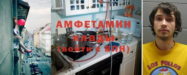 индика Абинск
